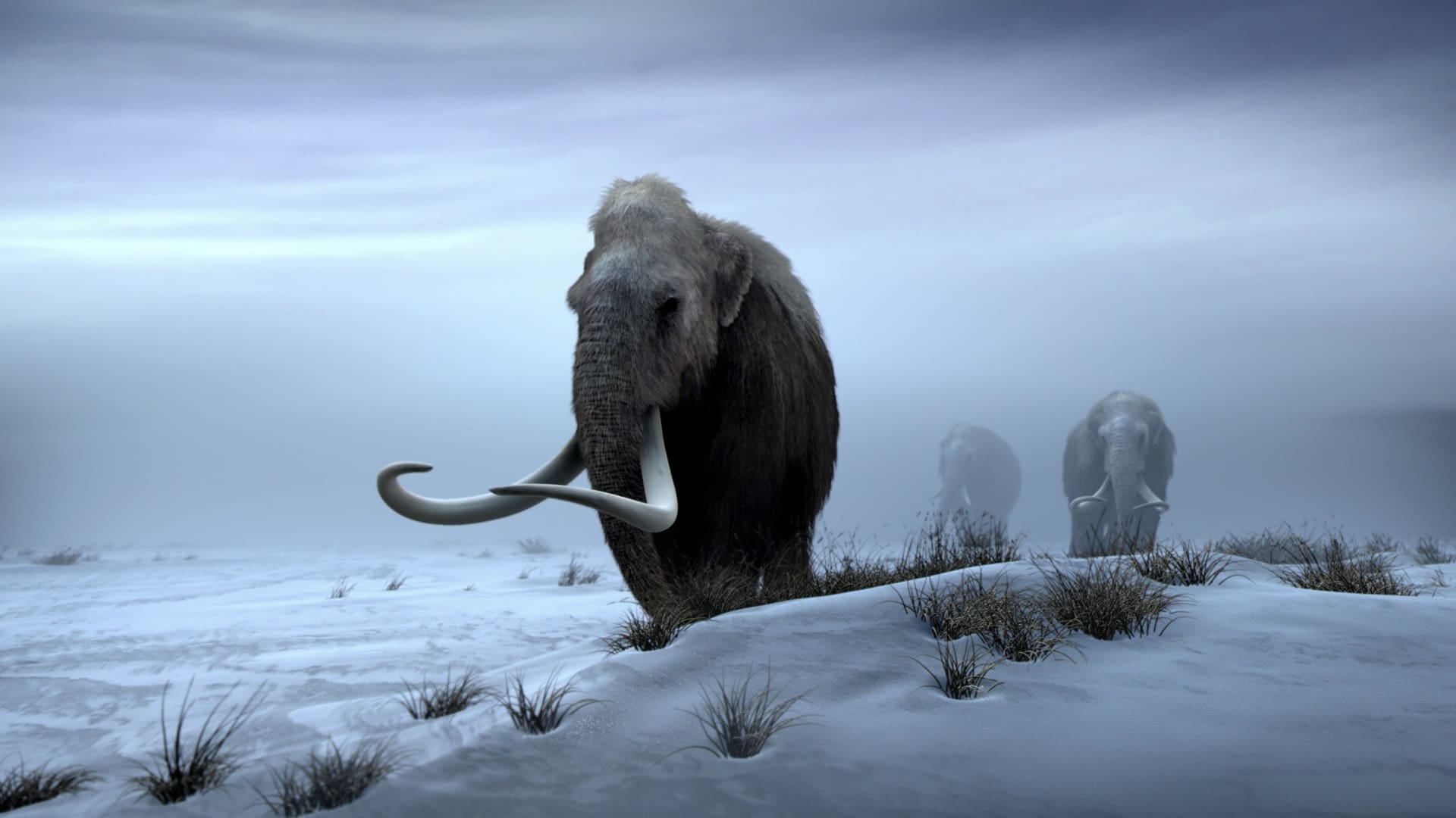 Titans of the Ice Age 2013 123movies