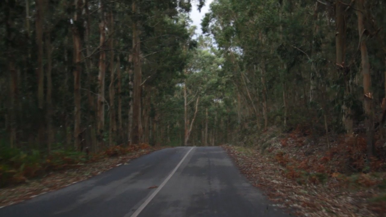 Lacuna