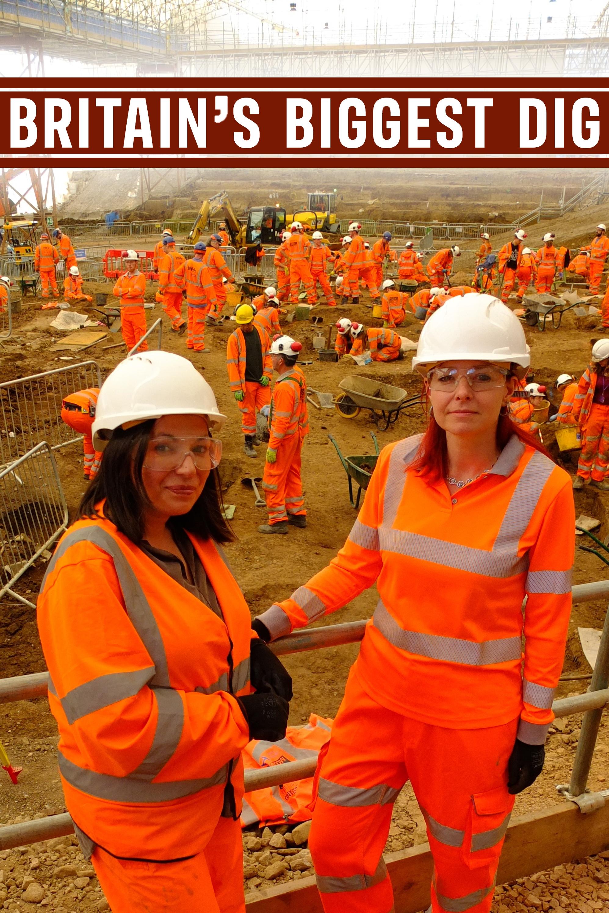 Poster de Britain's Biggest Dig