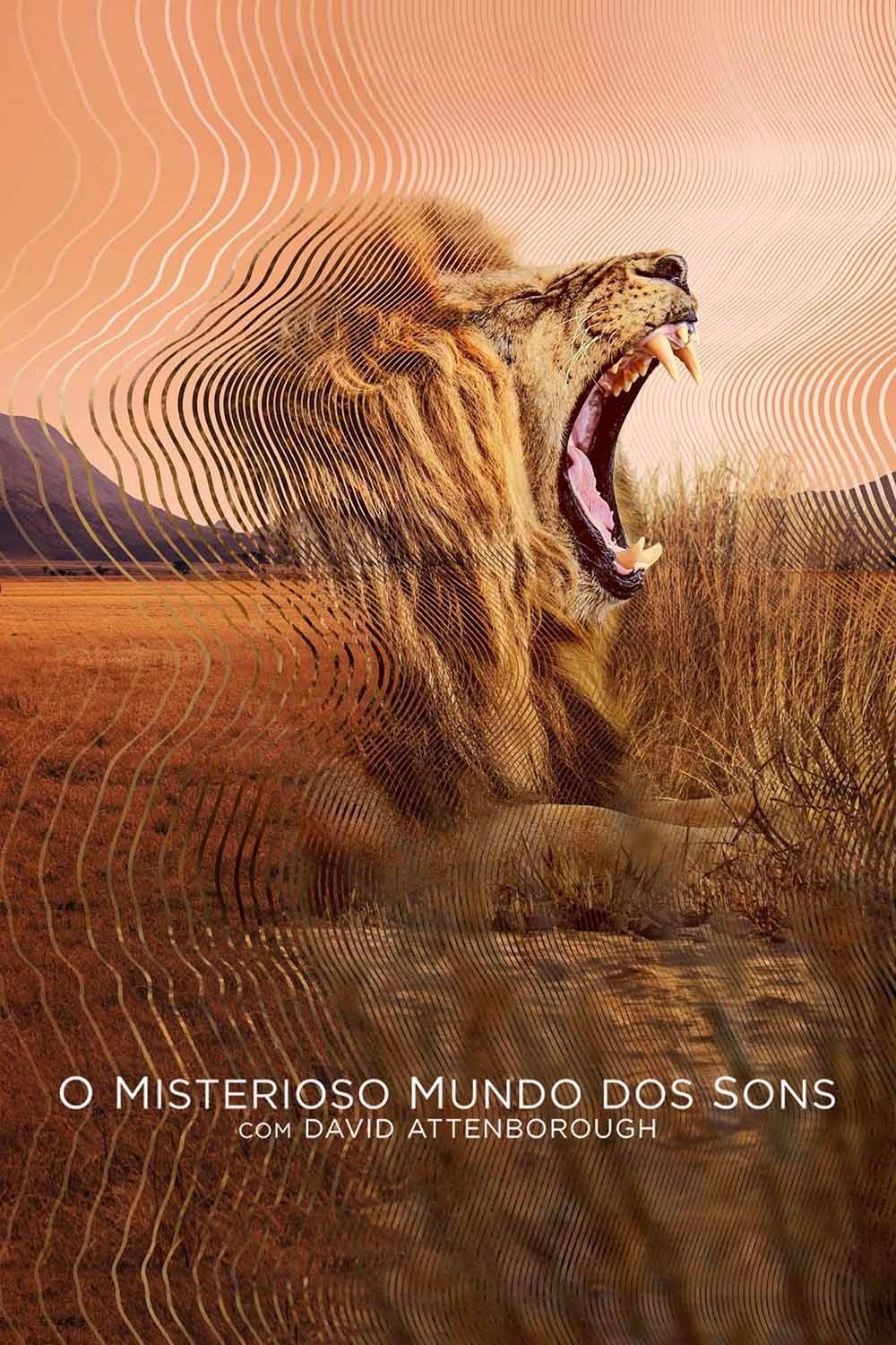 Poster de O Misterioso Mundo dos Sons com David Attenborough