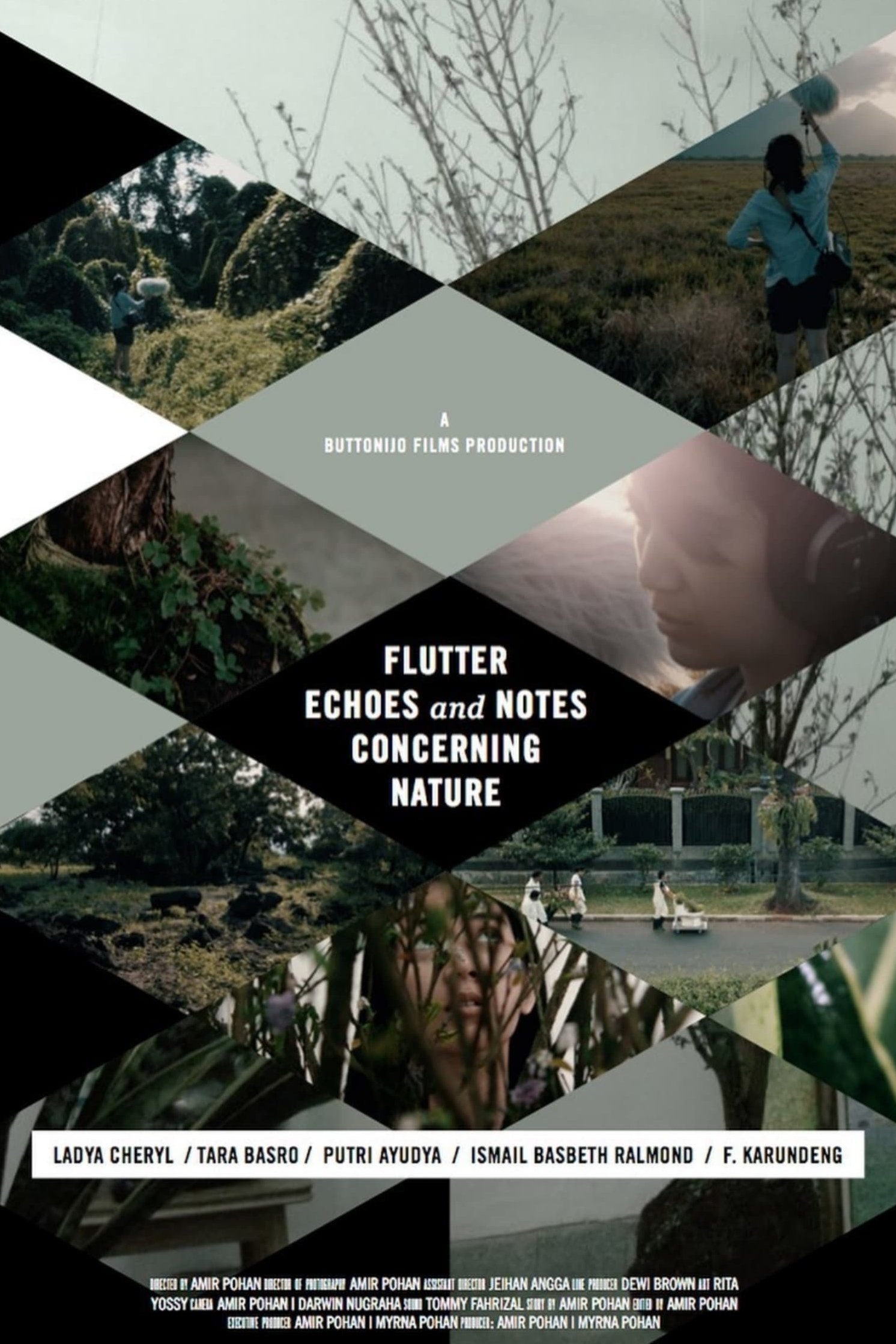 Poster de Flutter Echoes and Notes Concerning Nature