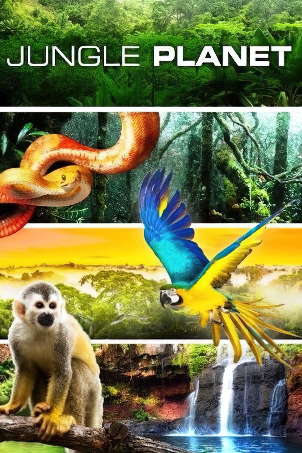 Poster de Planeta Selva