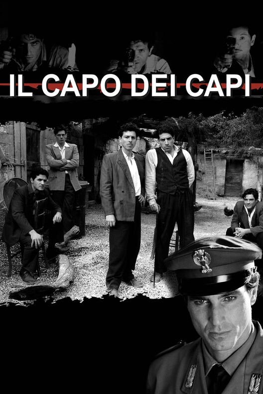 Poster de Il capo dei capi