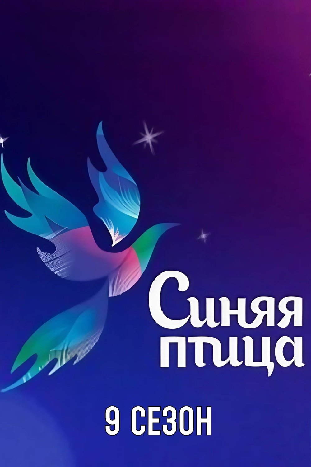 Poster de Temporada 9