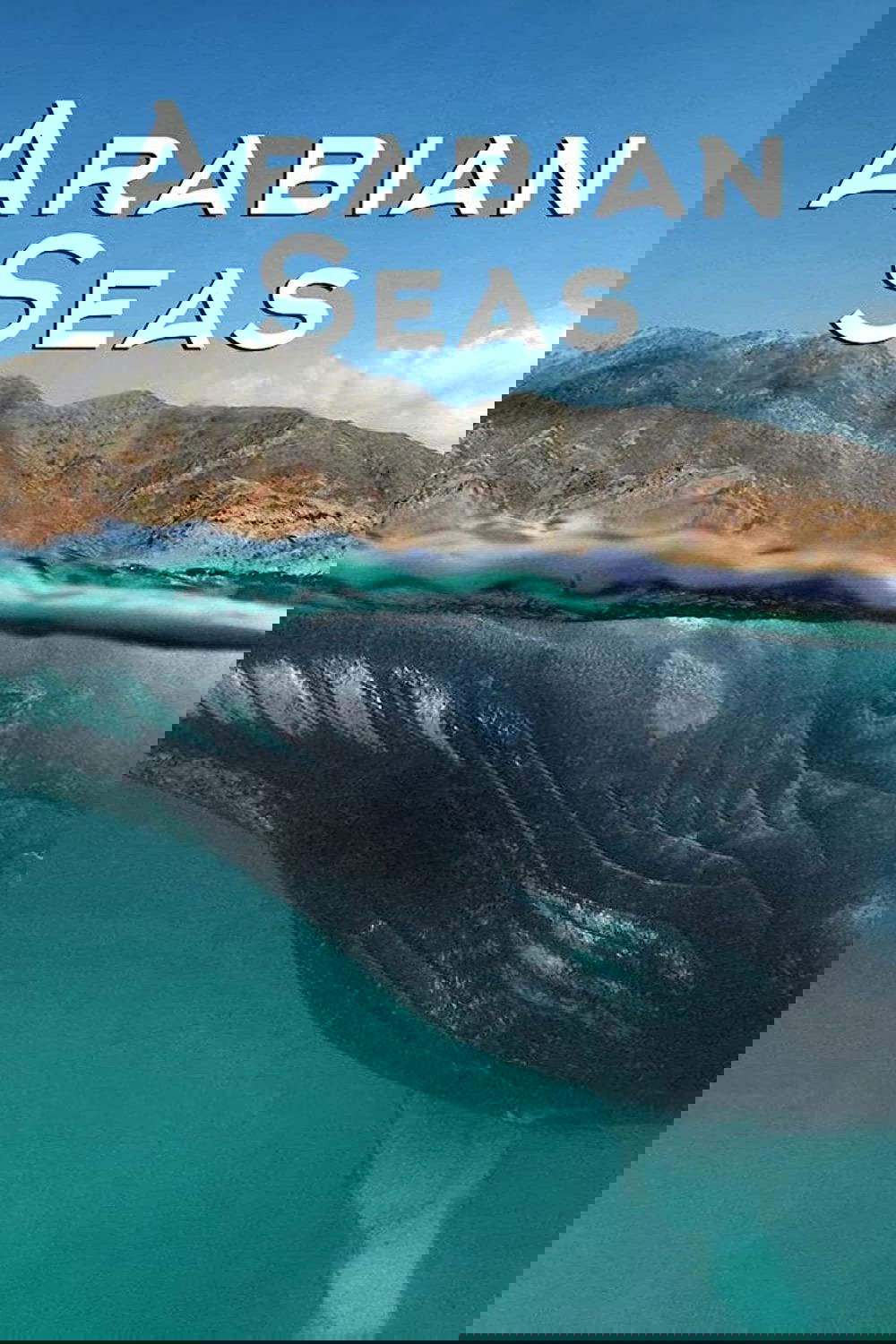 Poster de Os Mares da Arábia