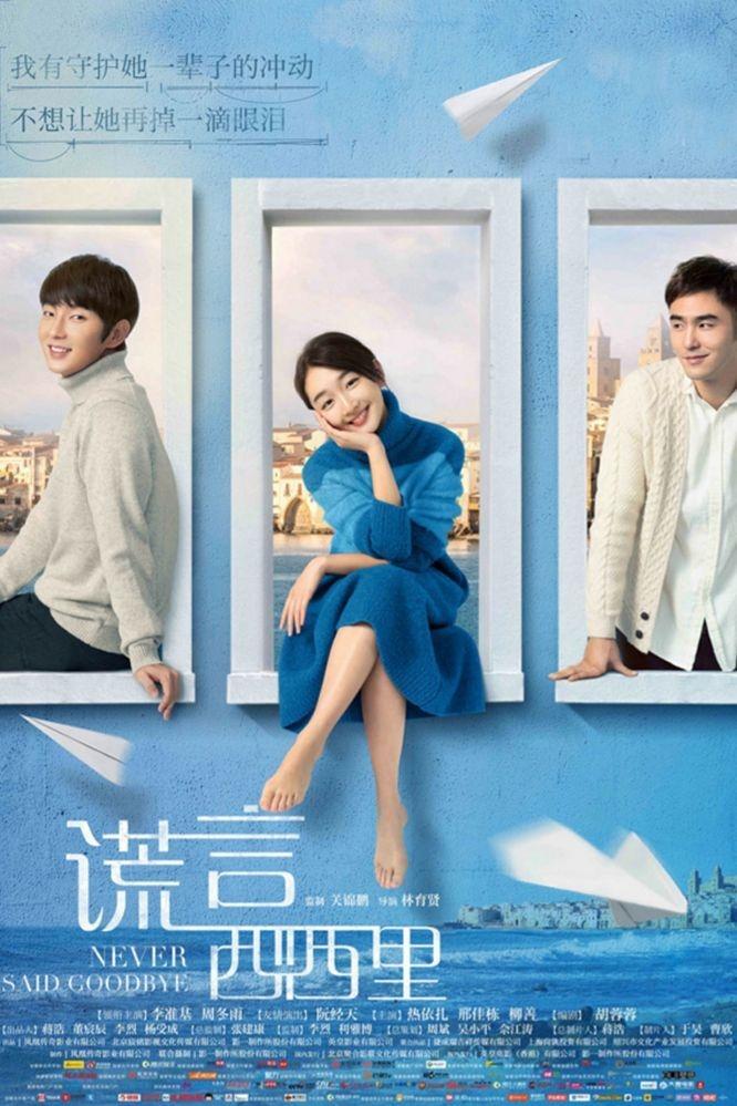 Poster de Never Said Goodbye