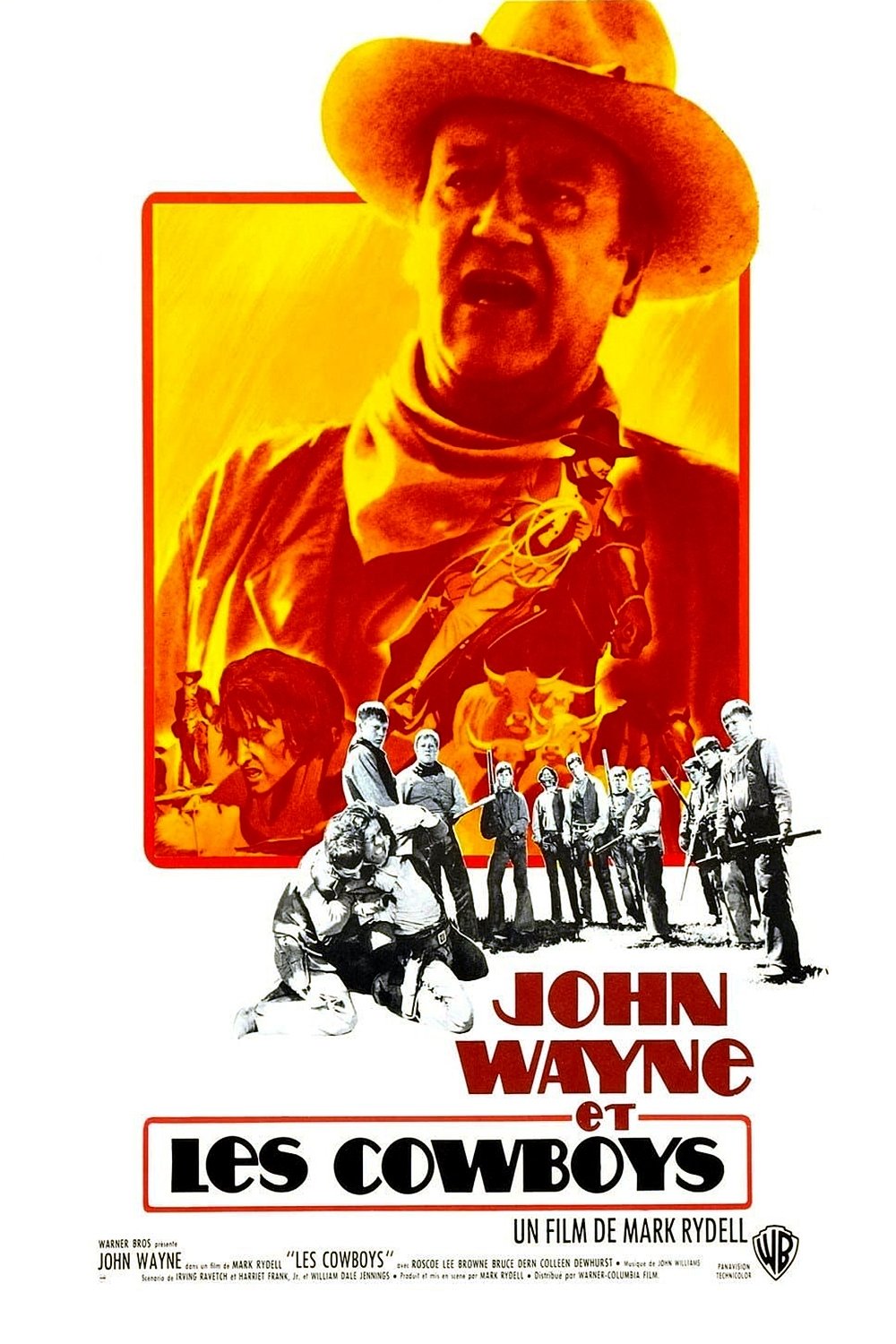 Affiche du film The Cowboys