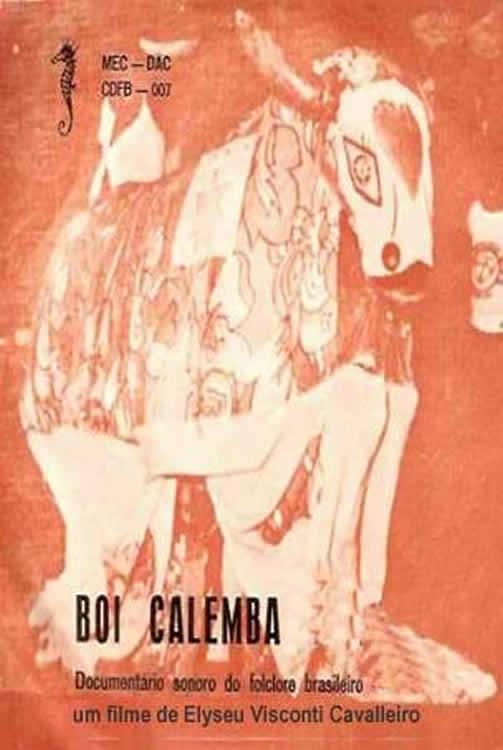 Poster de Boi Calemba