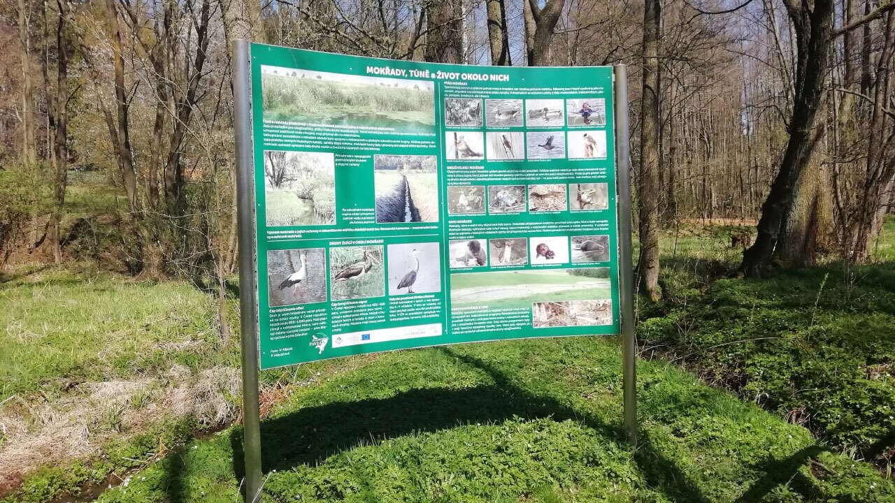 Česko řeší klima