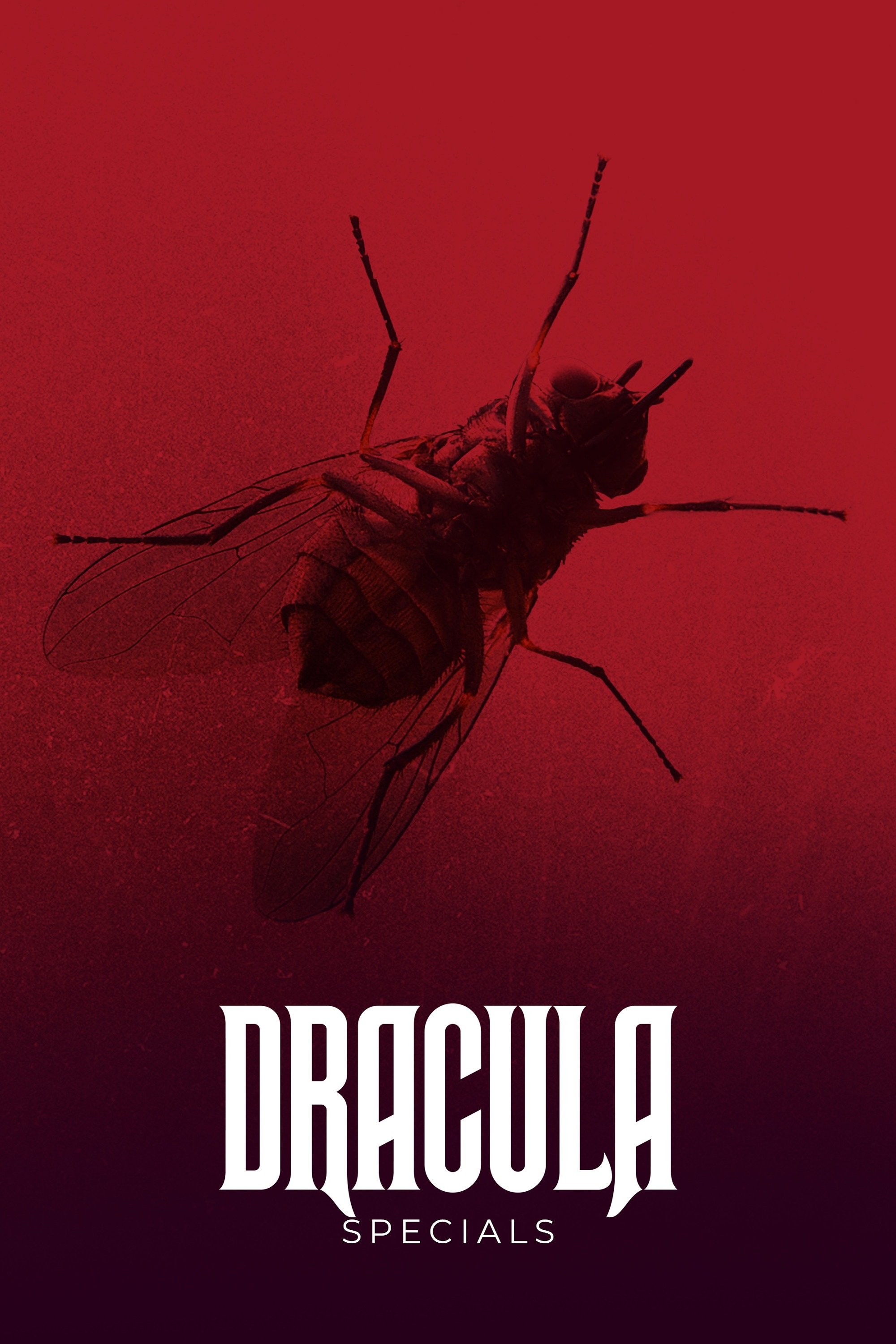 Poster de Especiais