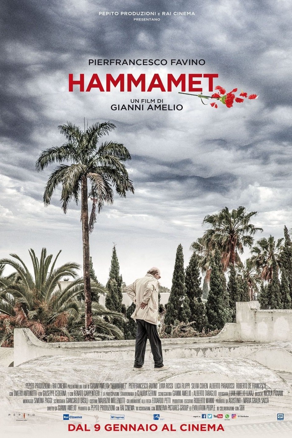 Poster de Hammamet