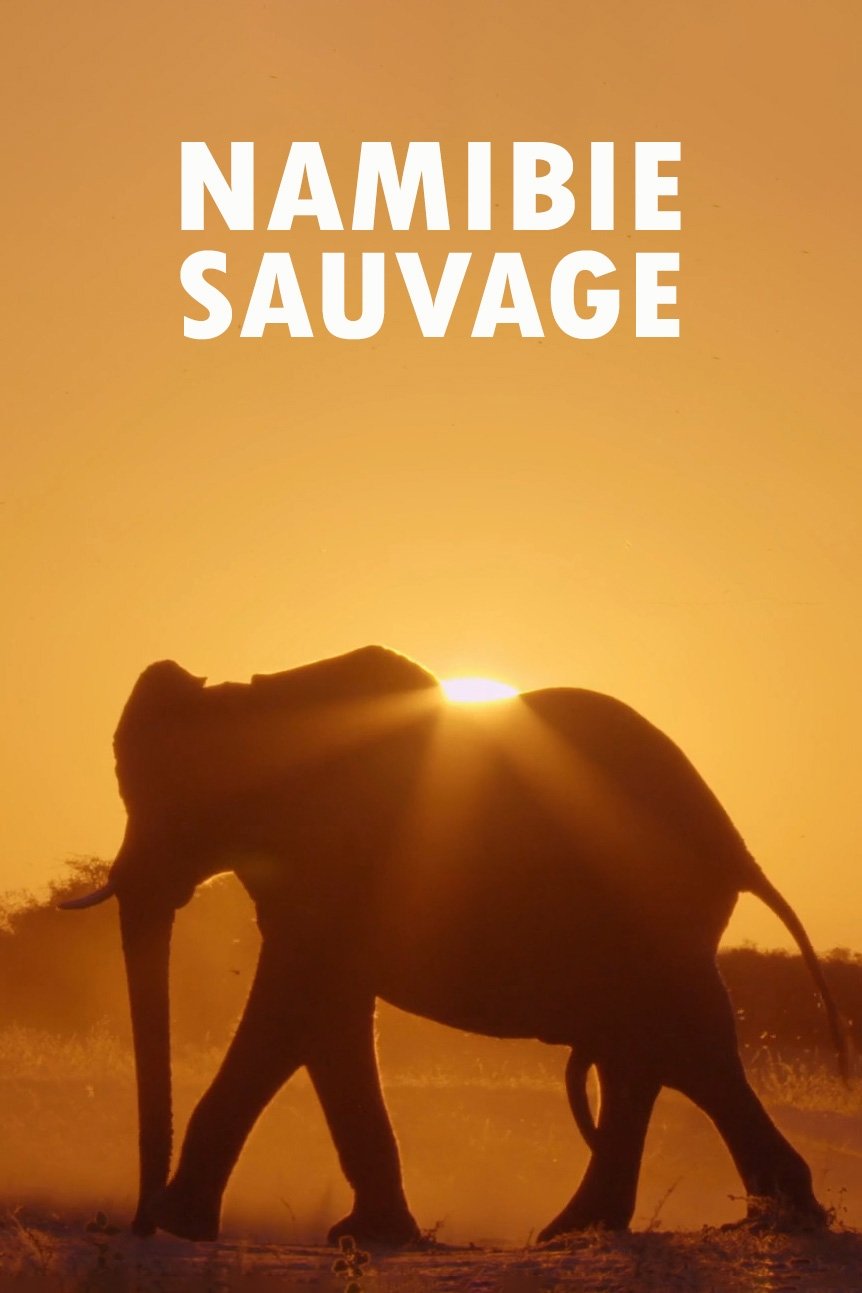 Poster de Namibias Naturwunder