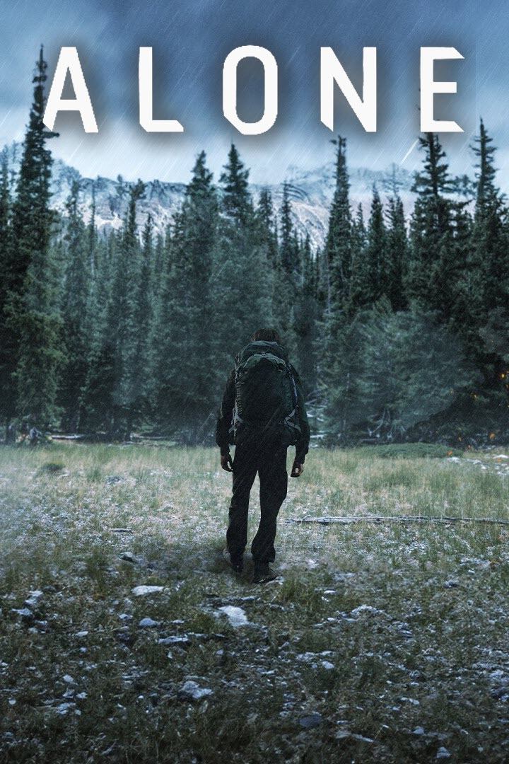Poster de Alone