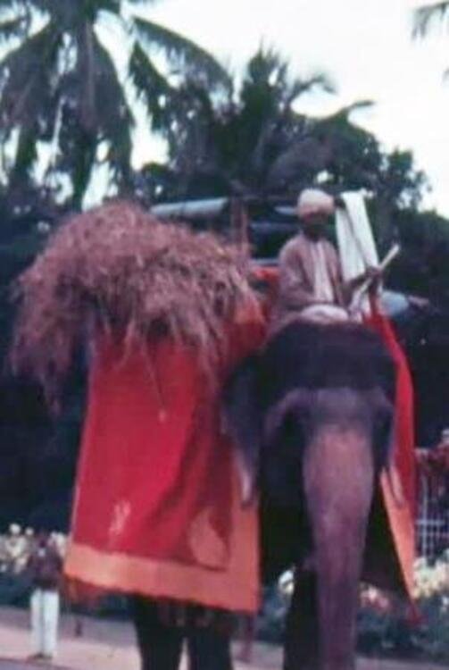 Poster de Mysore