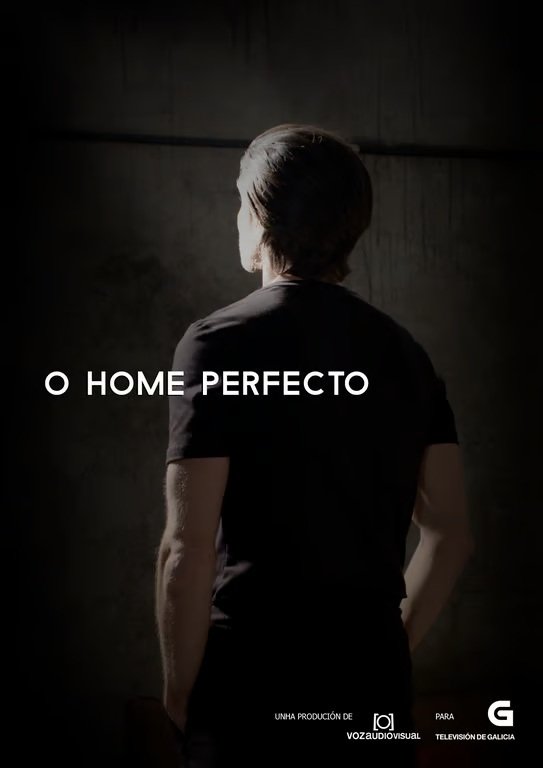 Poster de O home perfecto