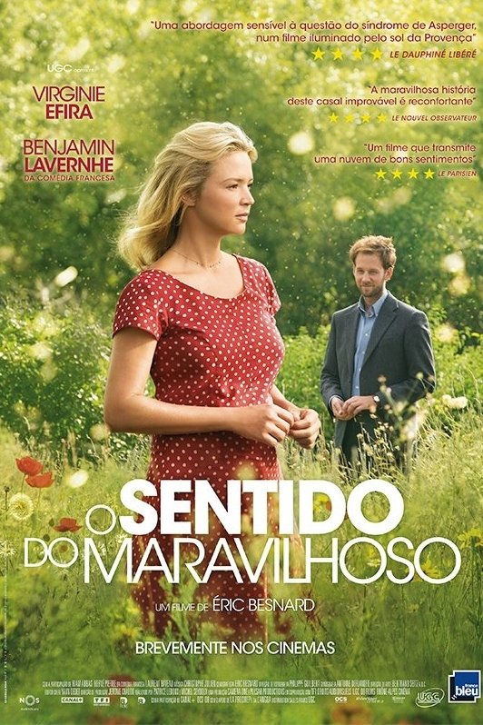Poster de O Sentido do Maravilhoso