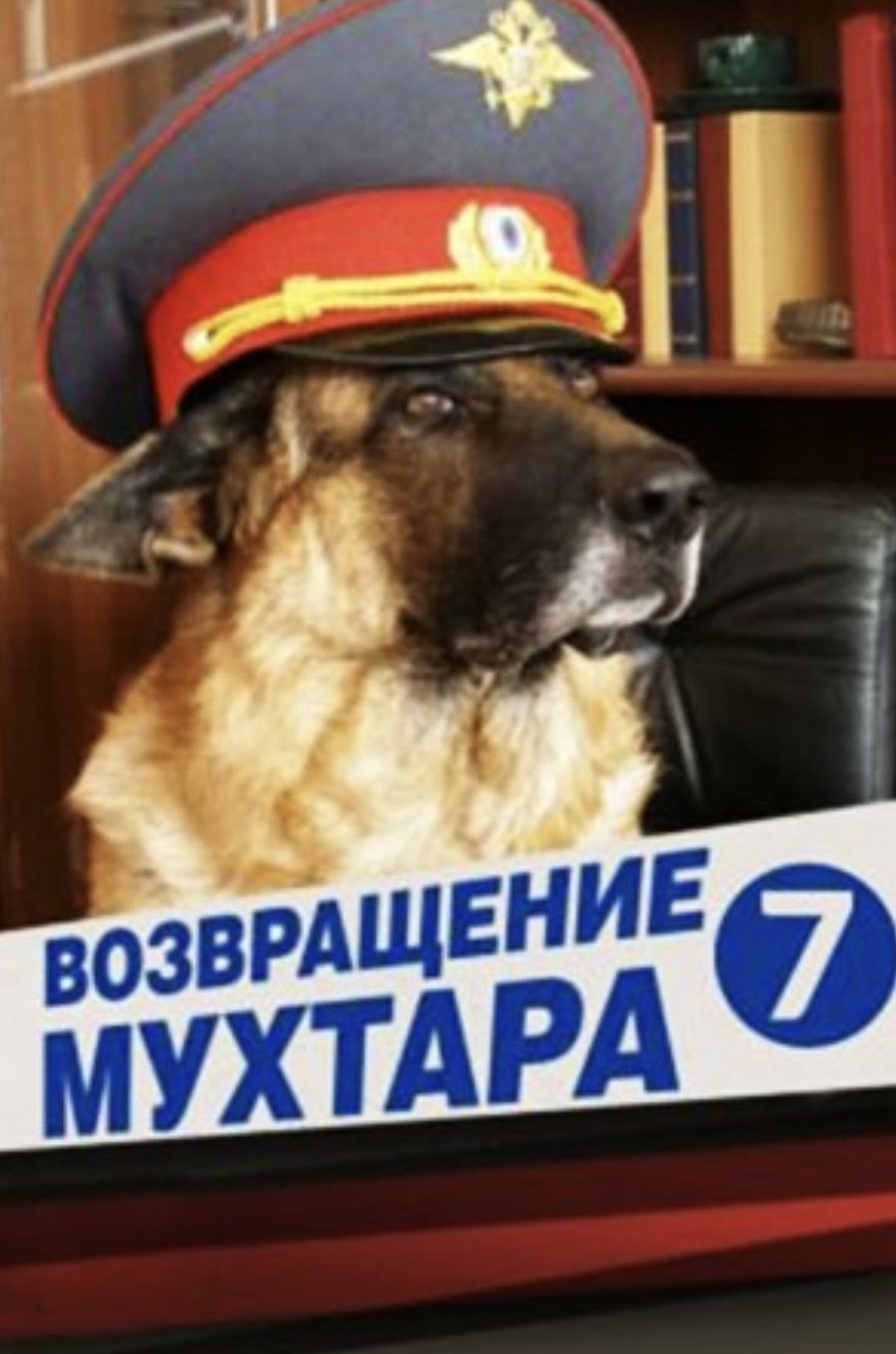 Poster de Temporada 7