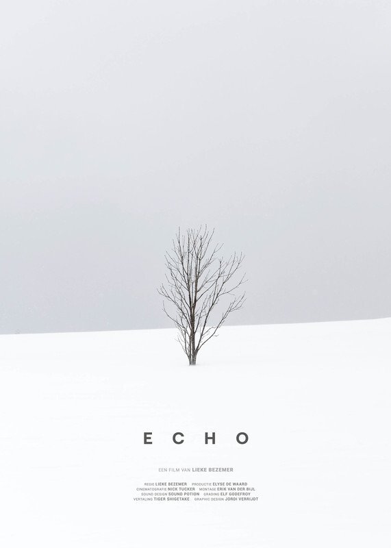 Poster de ECHO