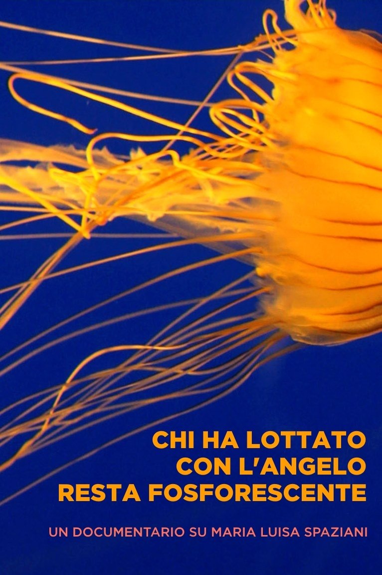 Poster de Chi ha lottato con l'angelo resta fosforescente