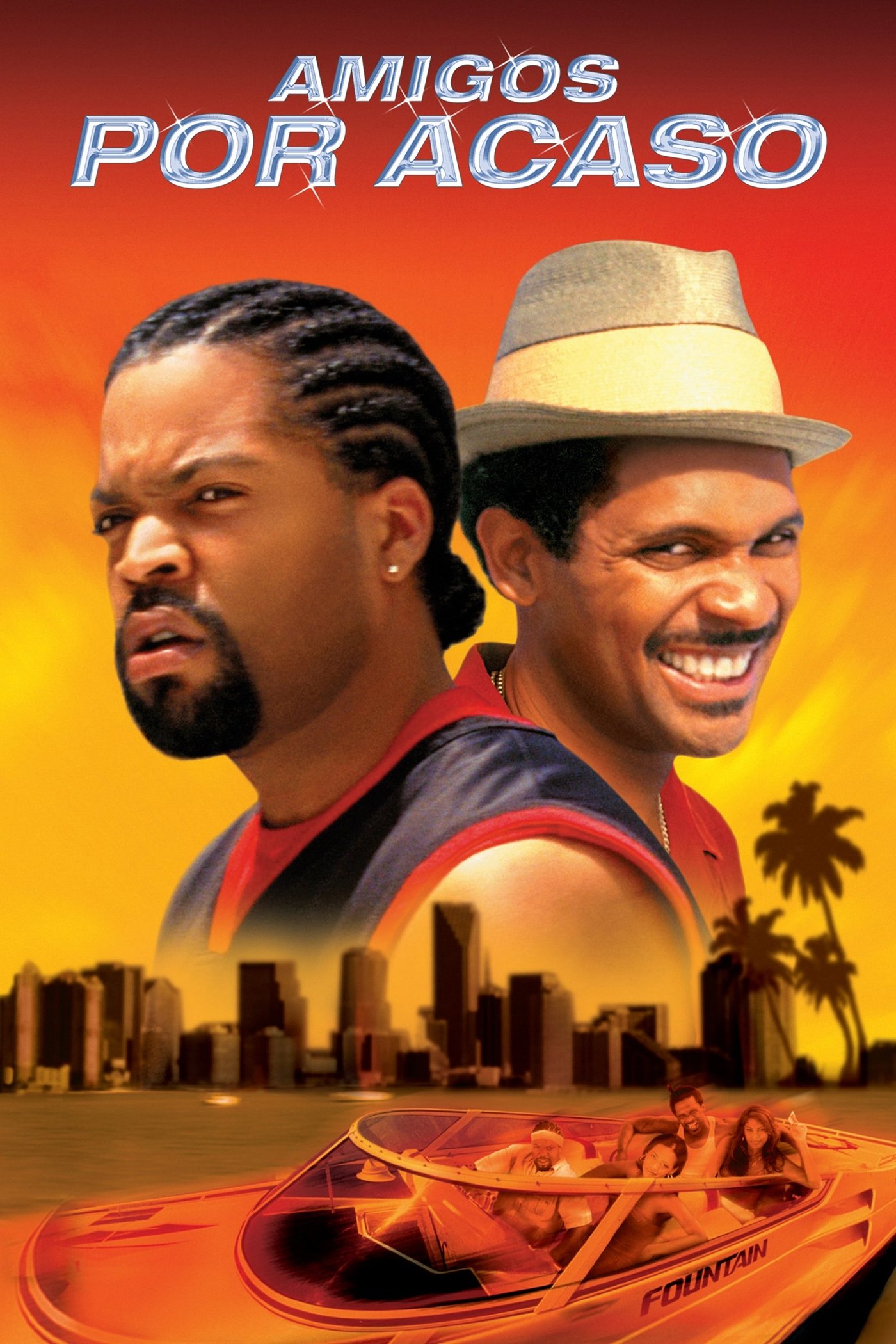 Poster de Amigos Por Acaso