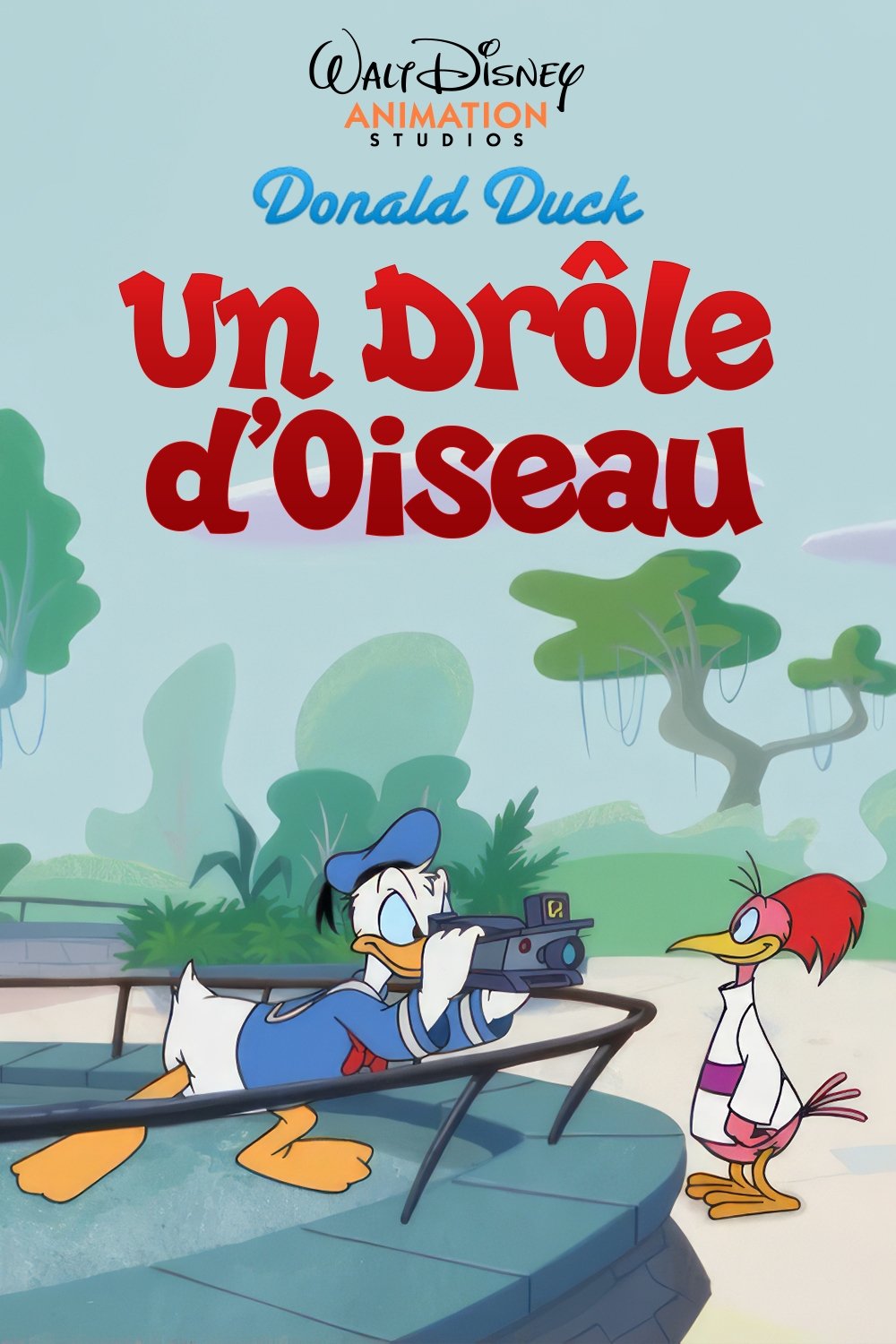 Un Drôle d'Oiseau