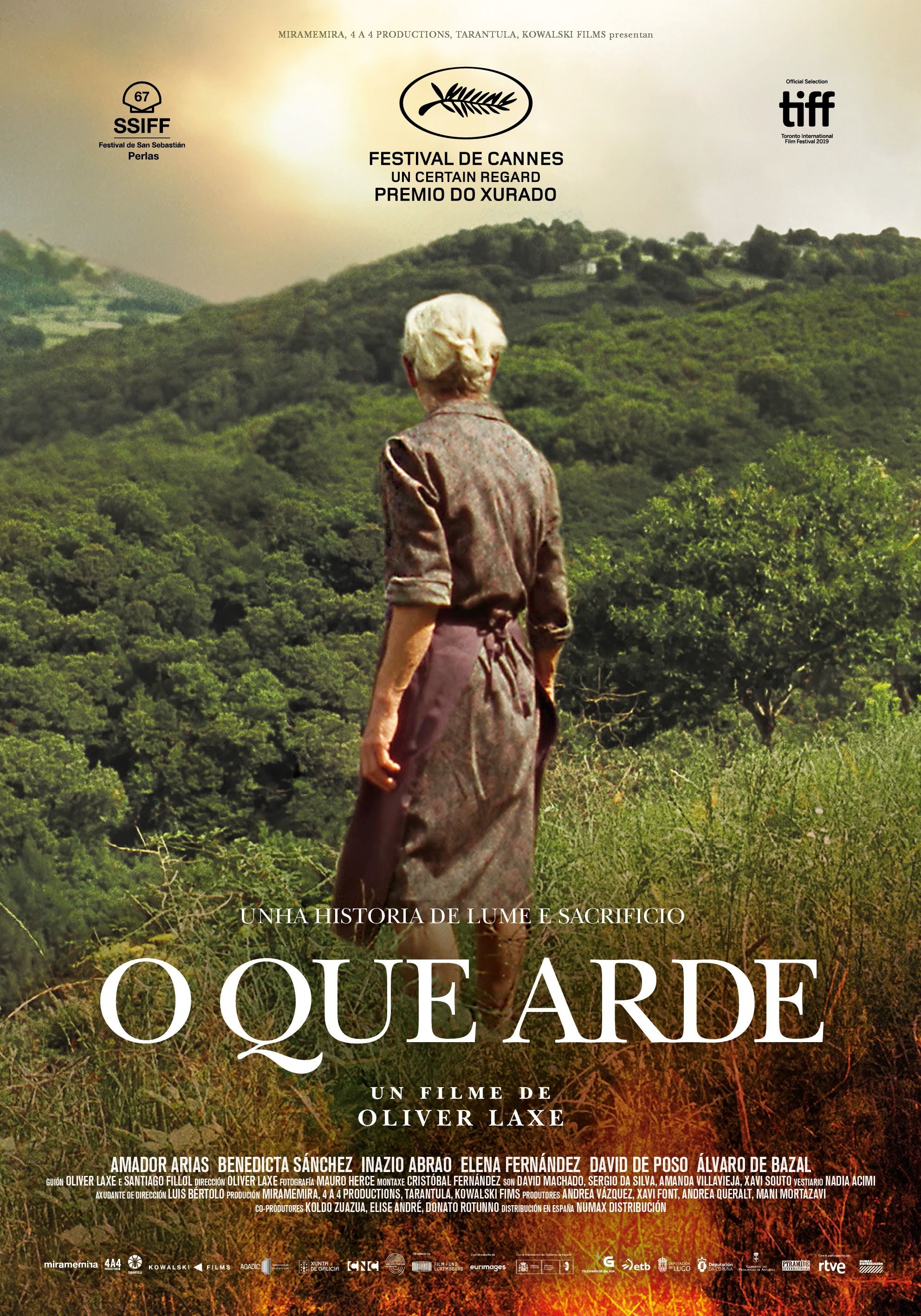 Poster de O que arde