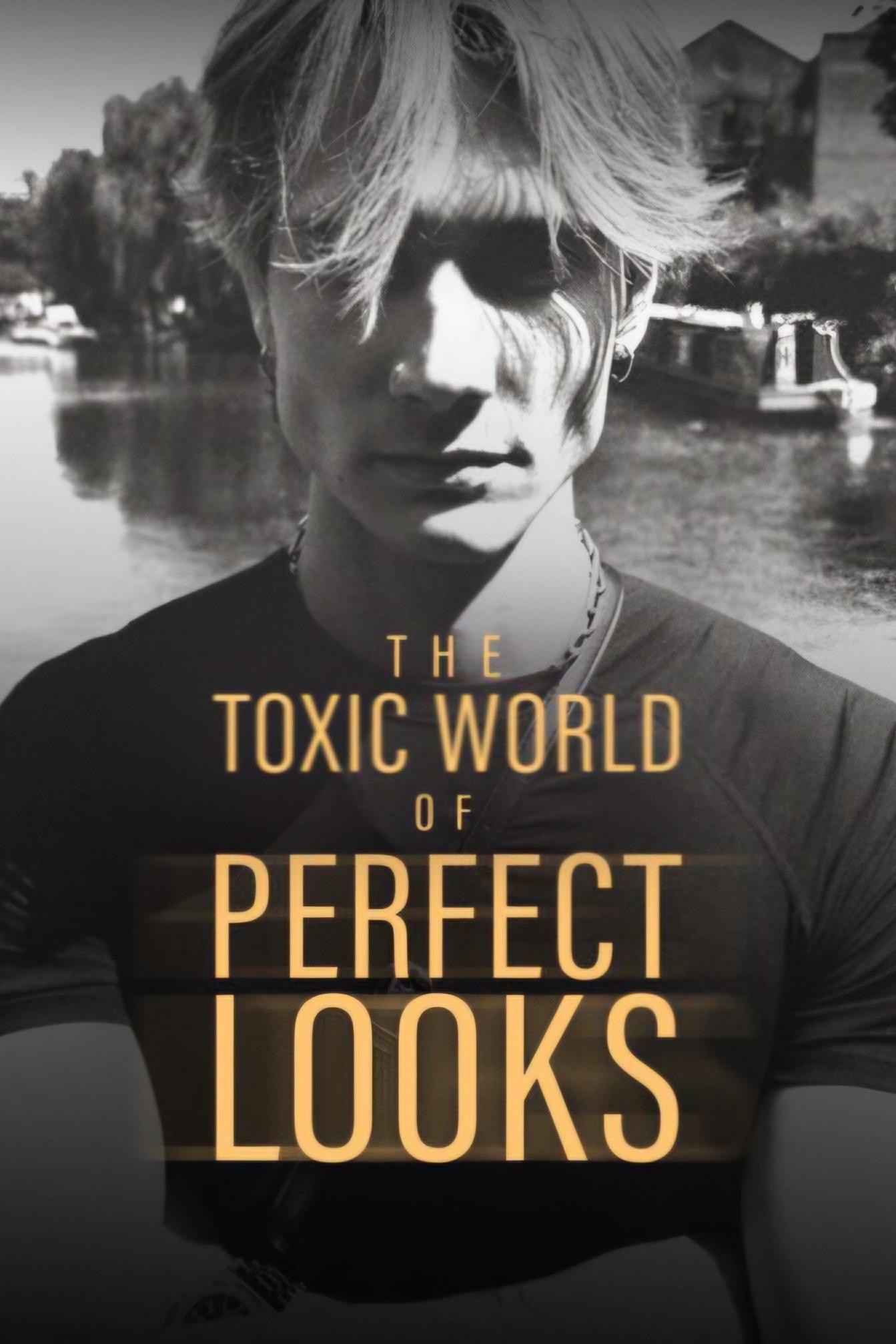 Poster de The Toxic World Of Perfect Looks
