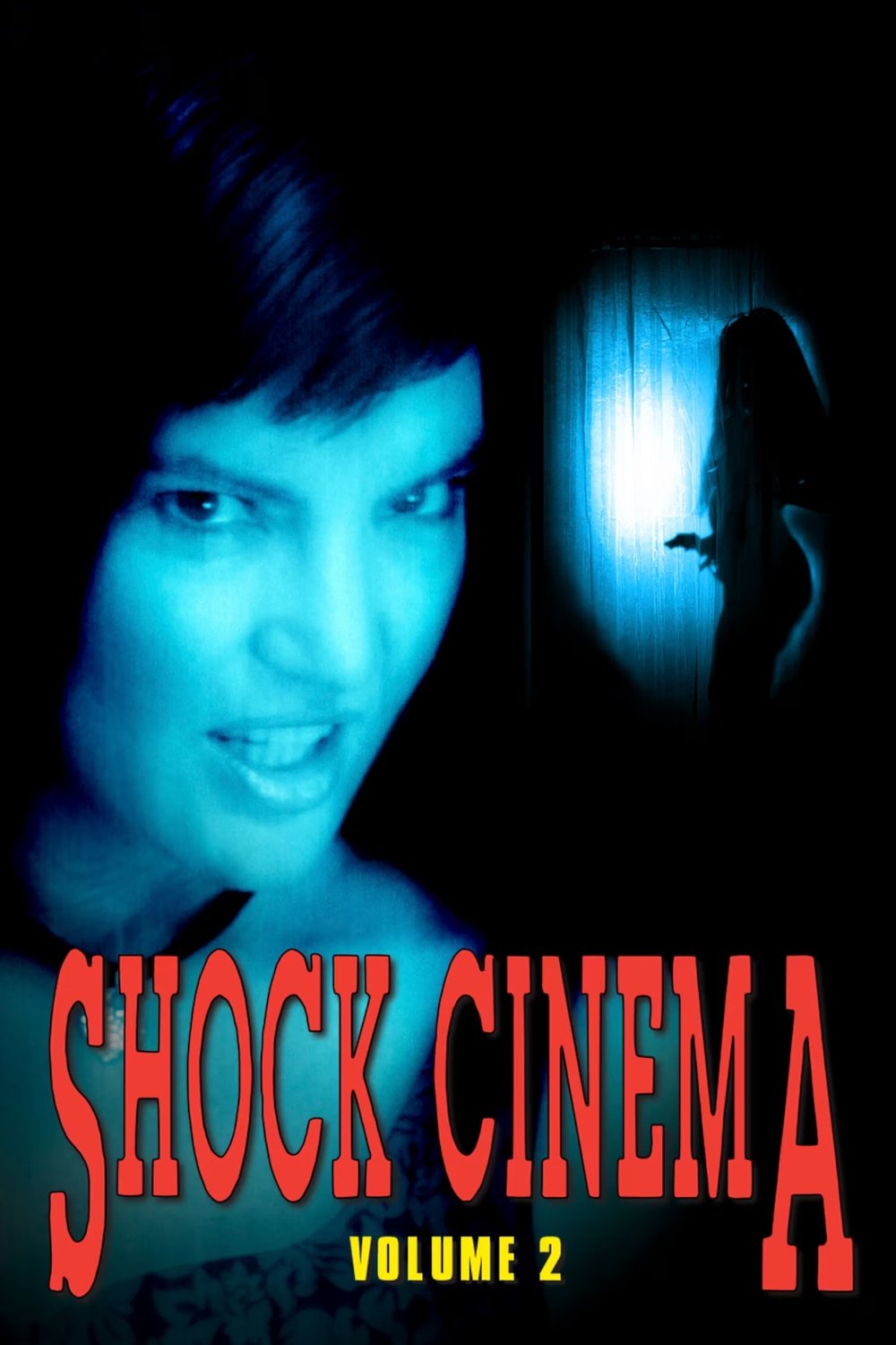 Poster de Shock Cinema: Volume Two