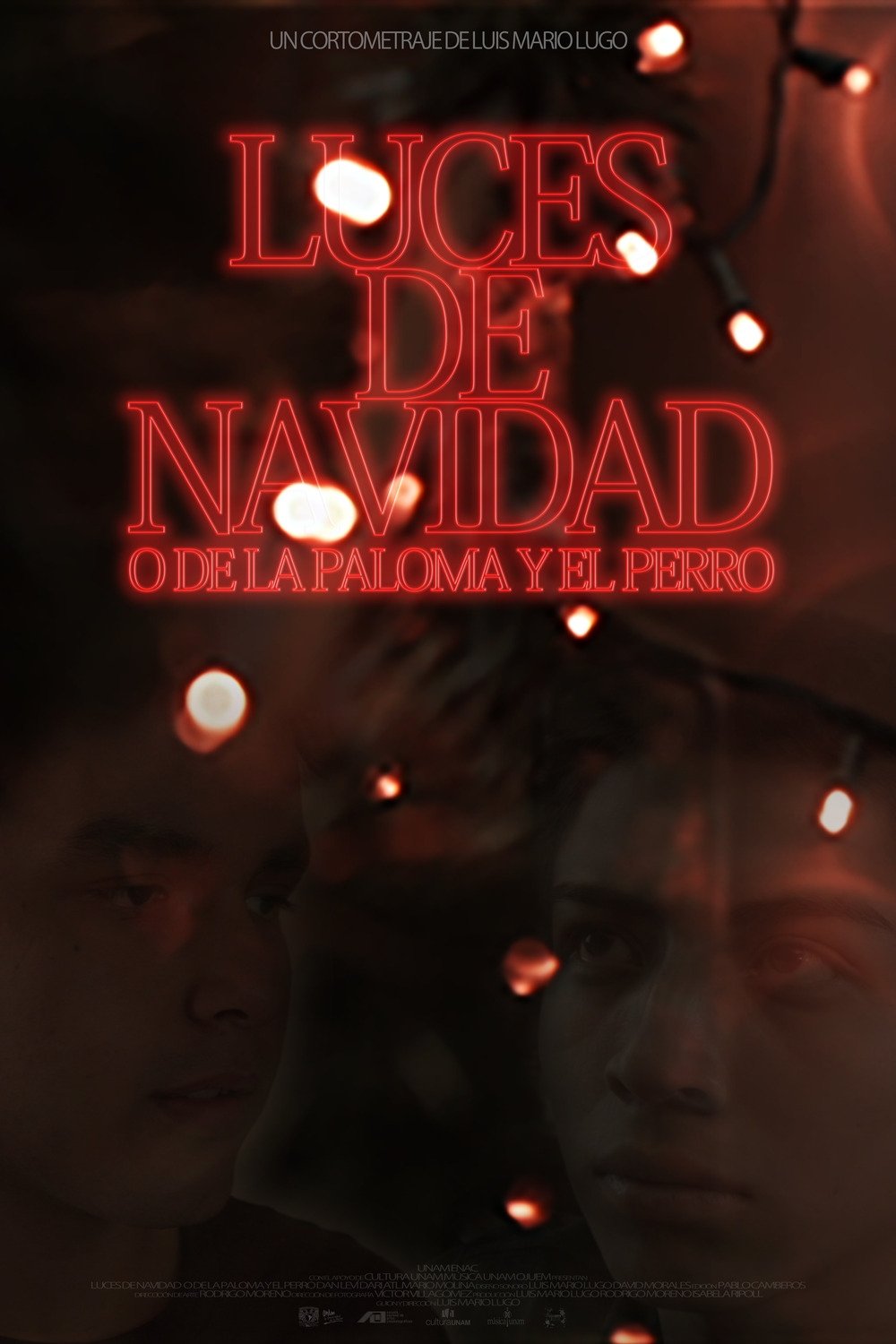 Poster de Luces de navidad o de la paloma y el perro