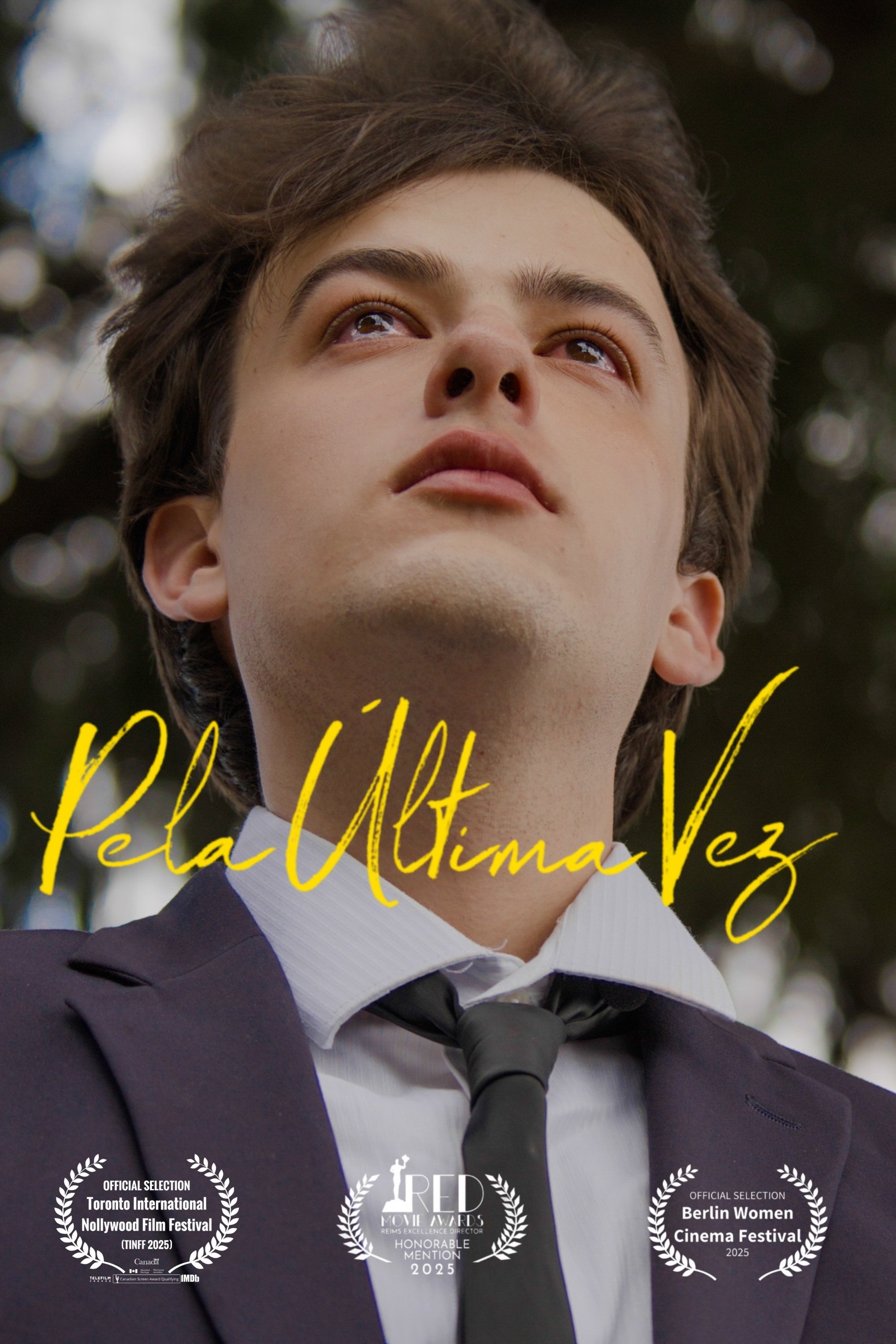 Poster de Pela Última Vez