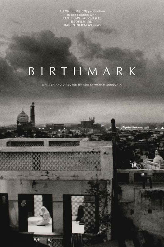 Poster de Birthmark