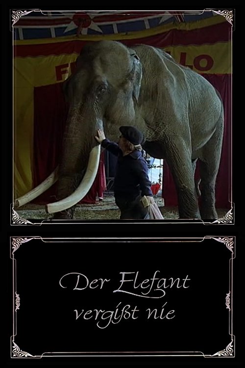 Affiche du film Der Elefant vergißt nie