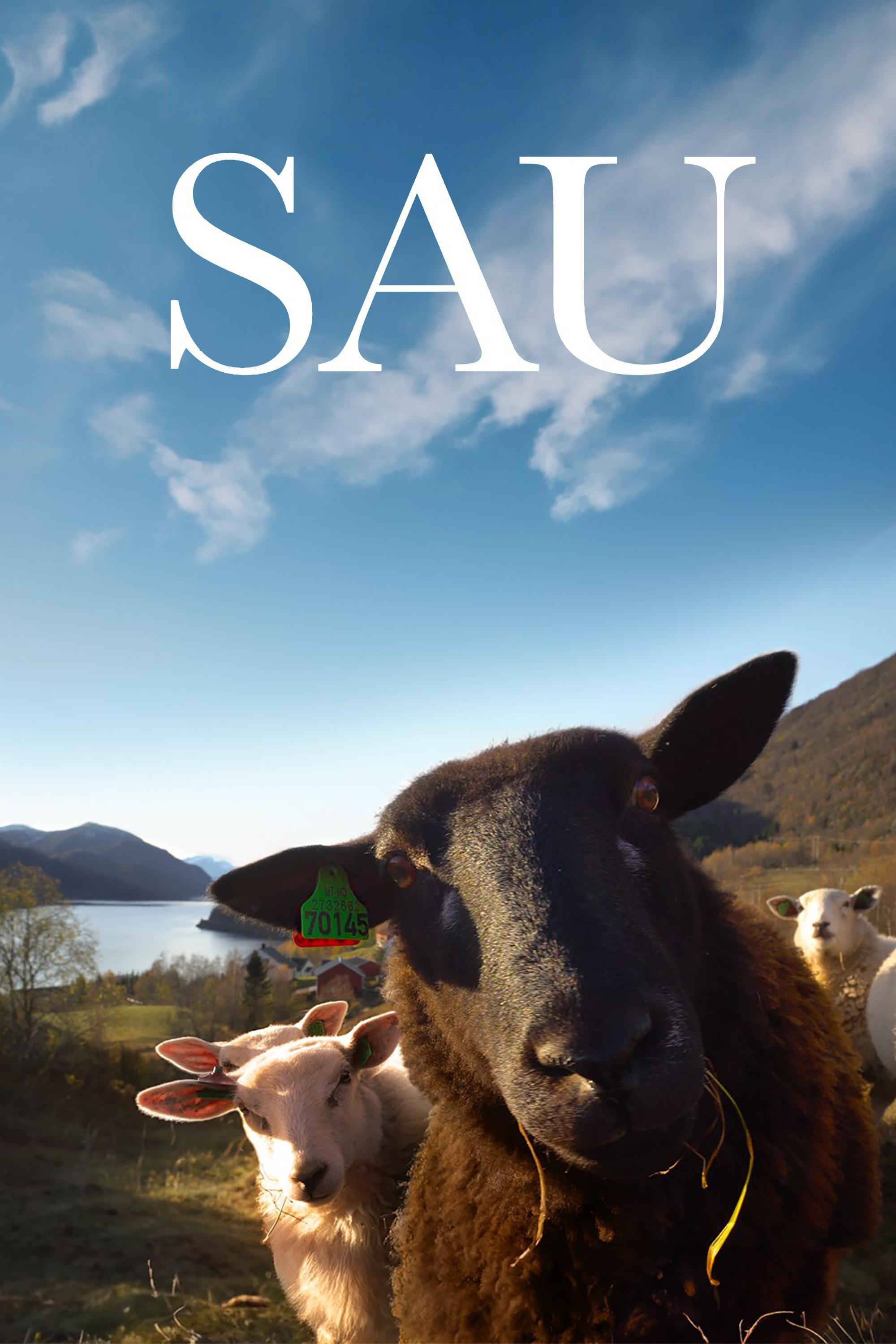 Poster de Sau