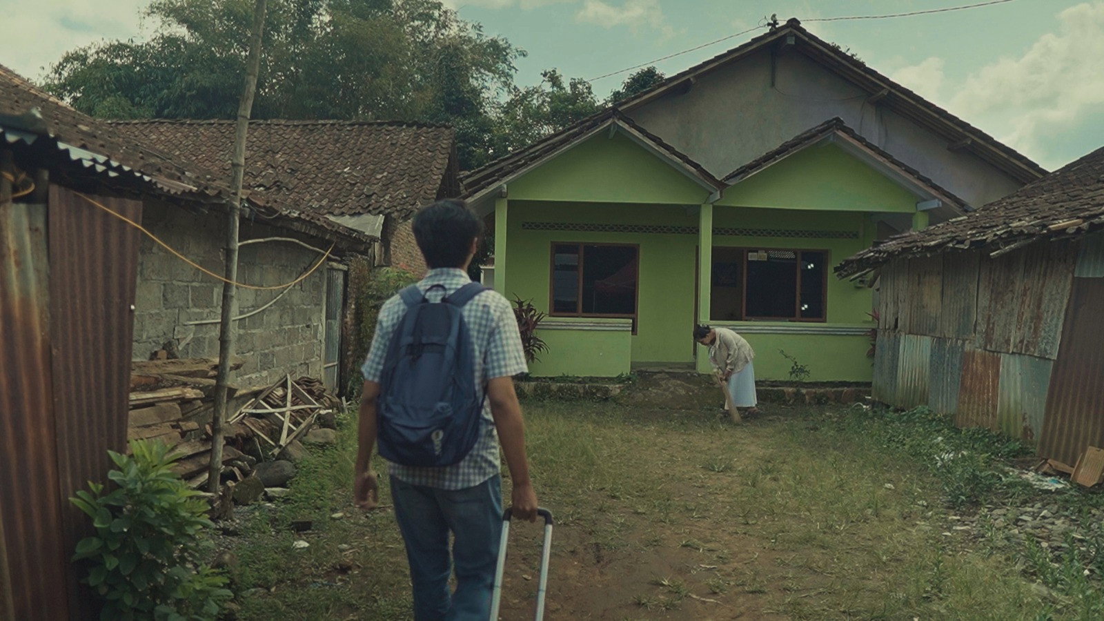 Director