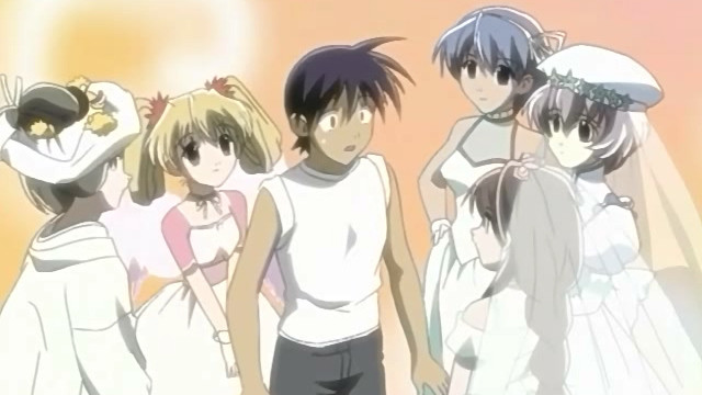 Well Well - Happy Finale!