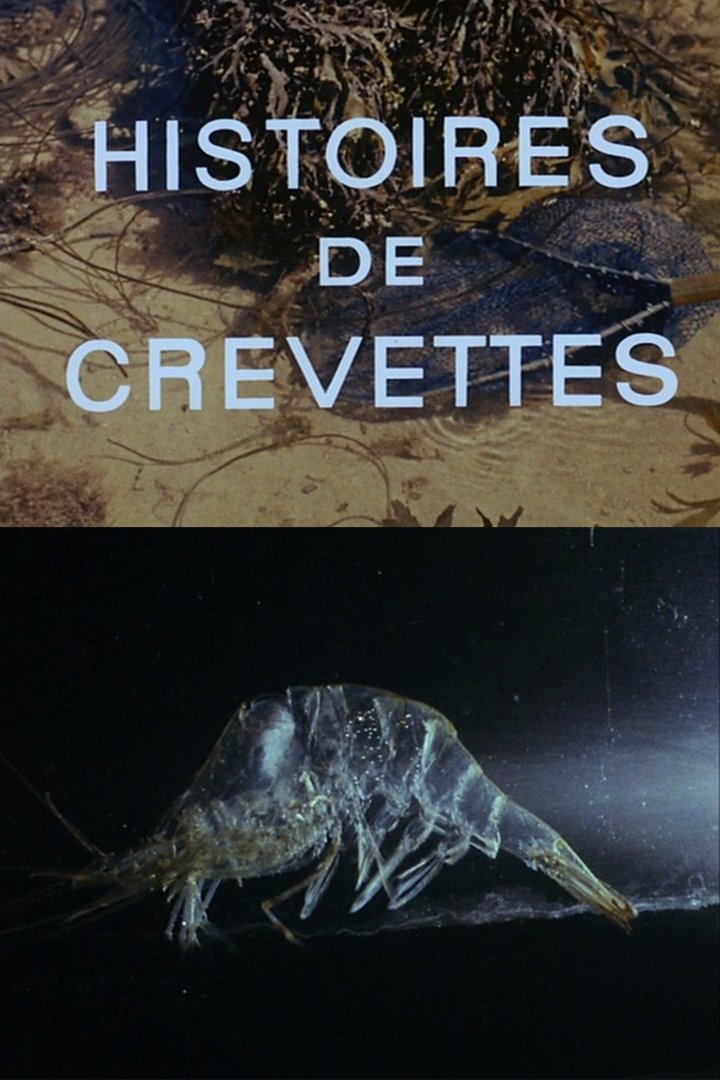 Poster de Histoires de crevettes
