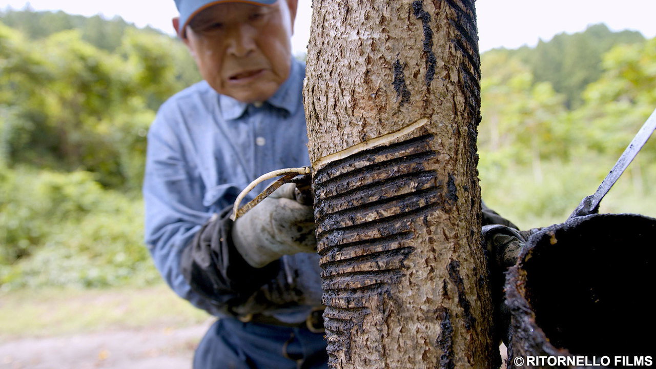 A Treasured Creation: The Bond with Urushi, Japanese Lacquer