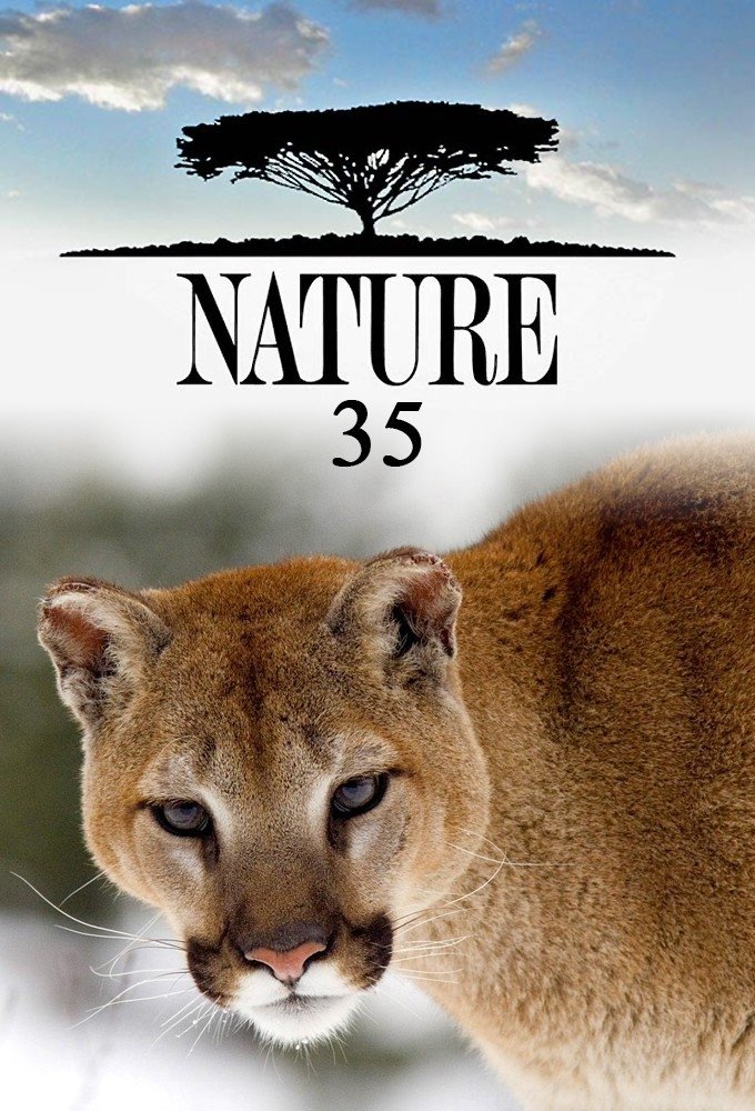 Poster de Temporada 35