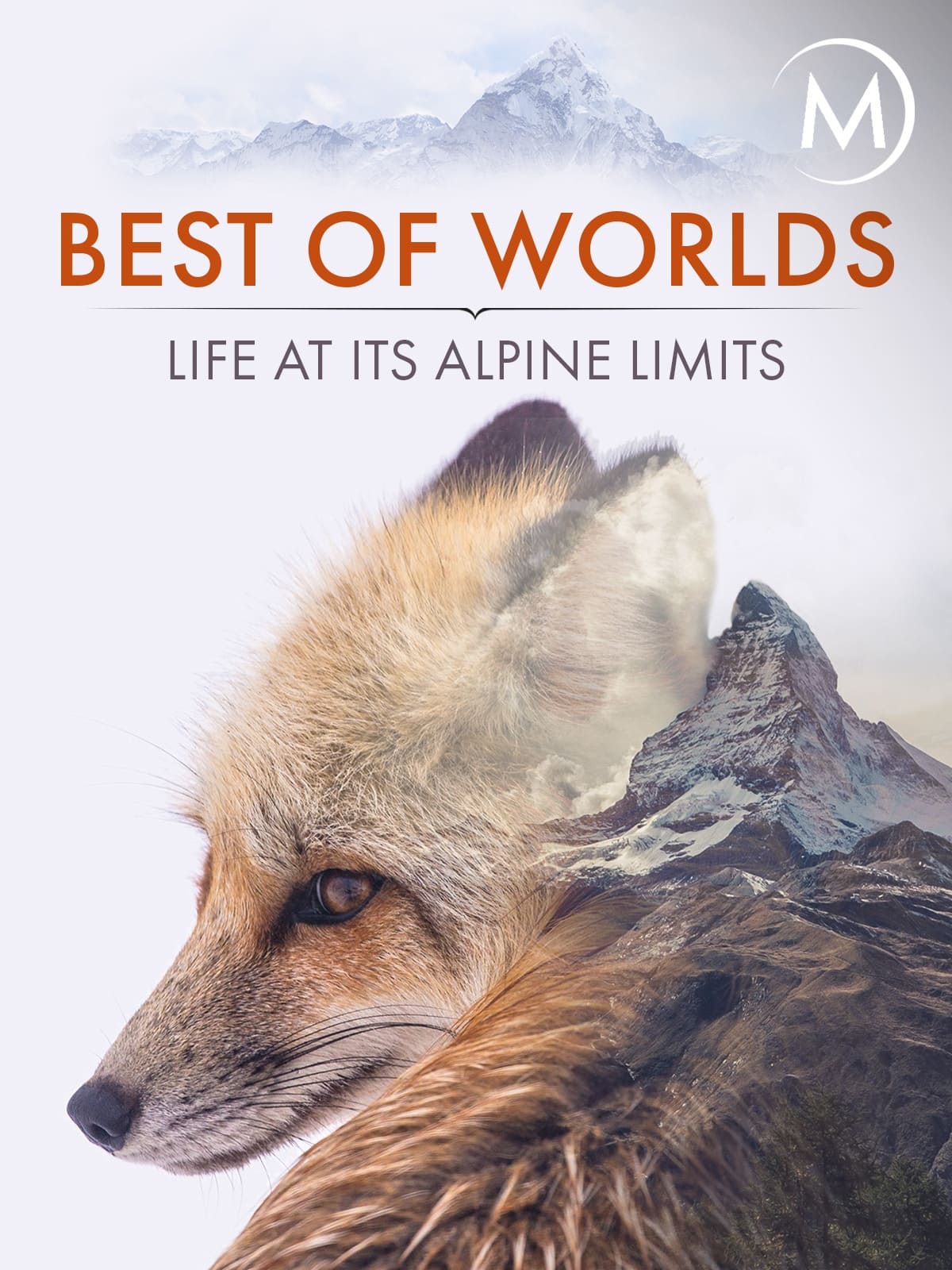 Poster de Best of Worlds: Life at its Alpine Limits