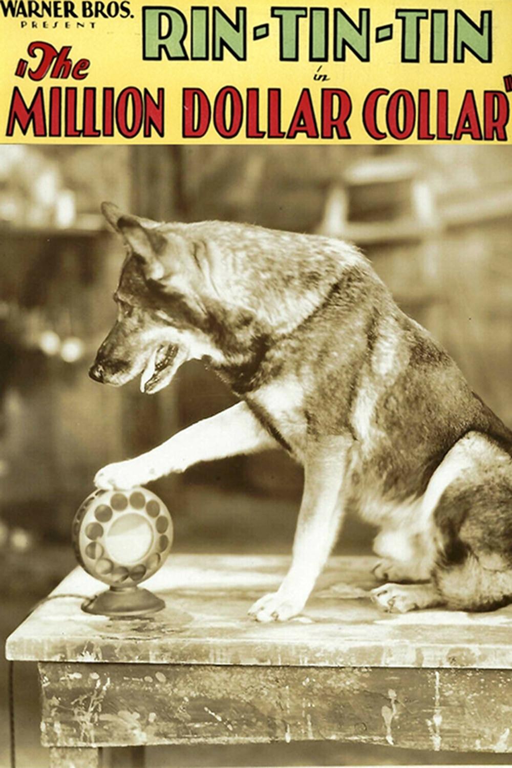 Poster de The Million Dollar Collar