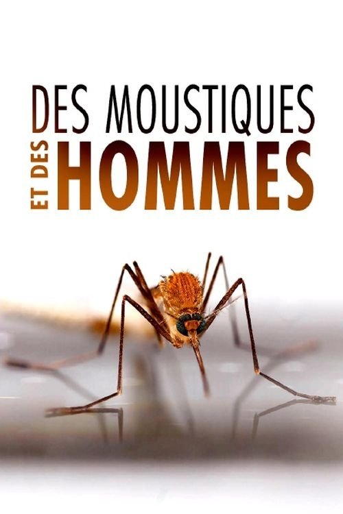 Poster de Des Moustiques et des Hommes