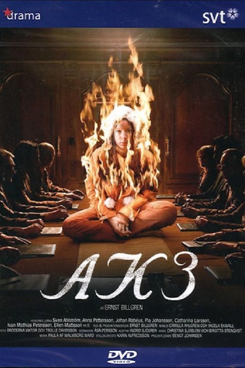 Poster de AK3