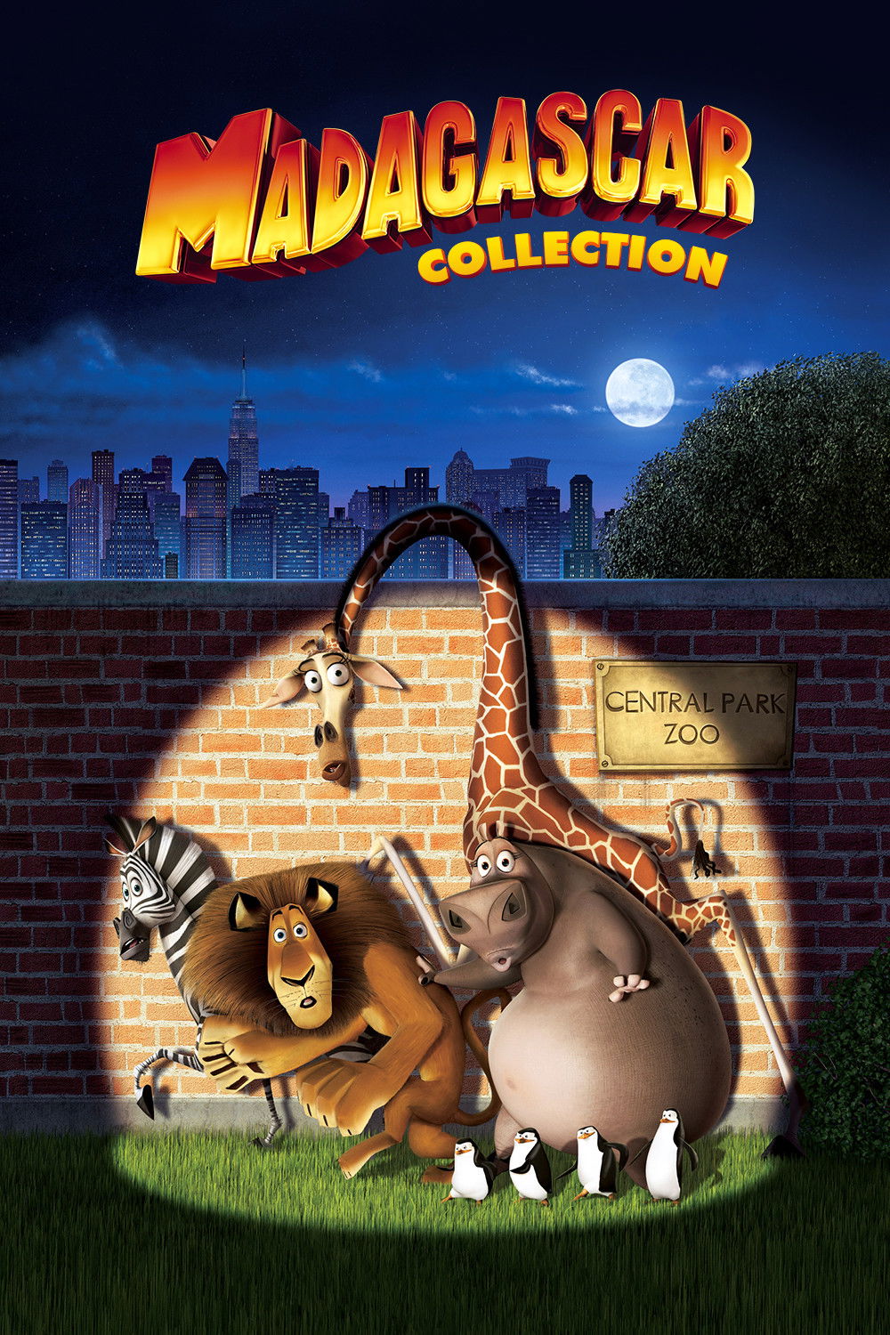 Poster of Madagascar Collection