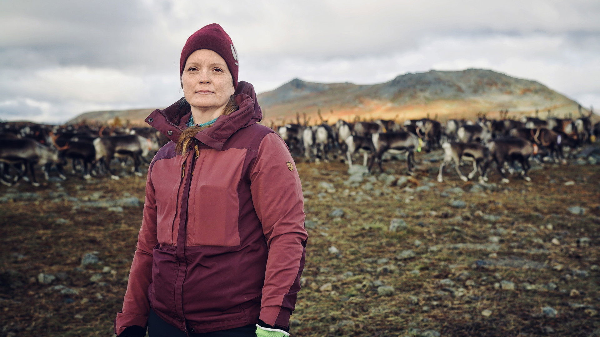 Voices from the Arctic