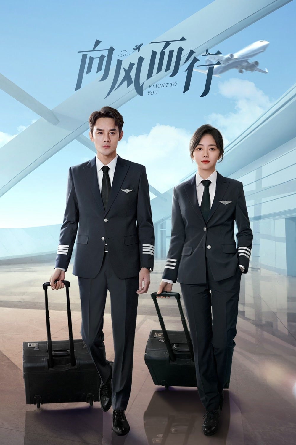 Poster de Flight To You