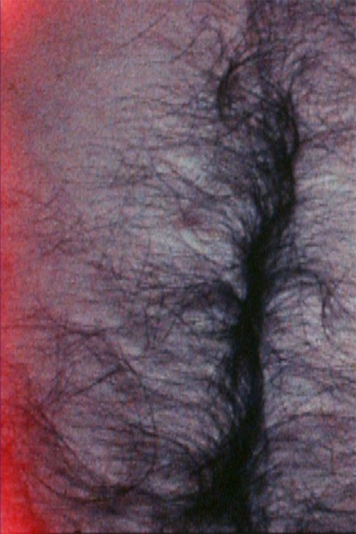 Poster de Soft White Underbelly