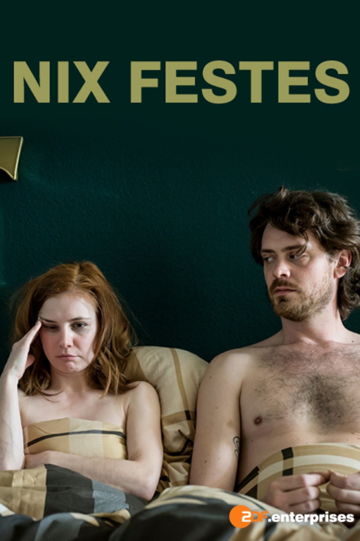 Poster de Nix Festes