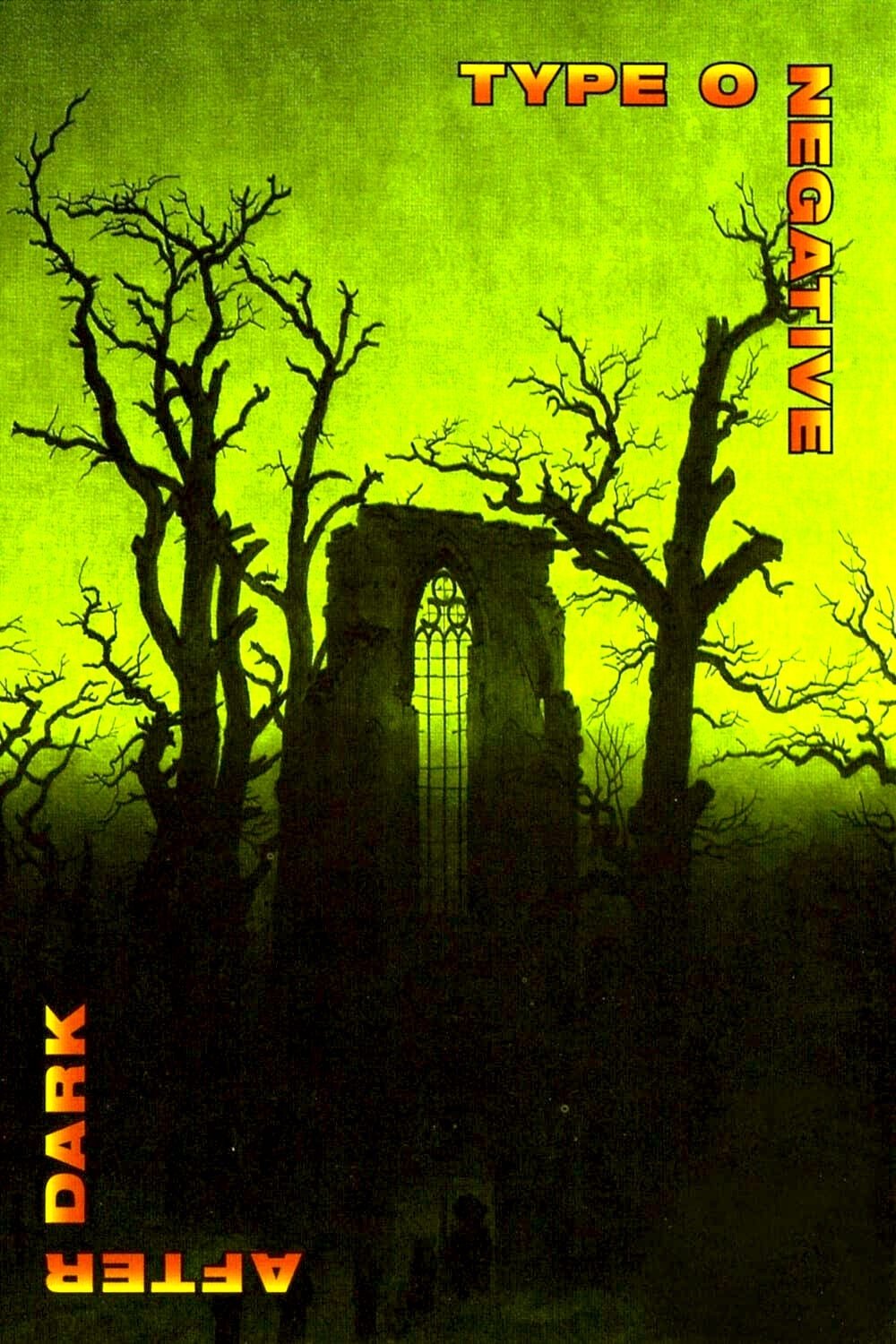 Affiche du film Type O Negative - After Dark