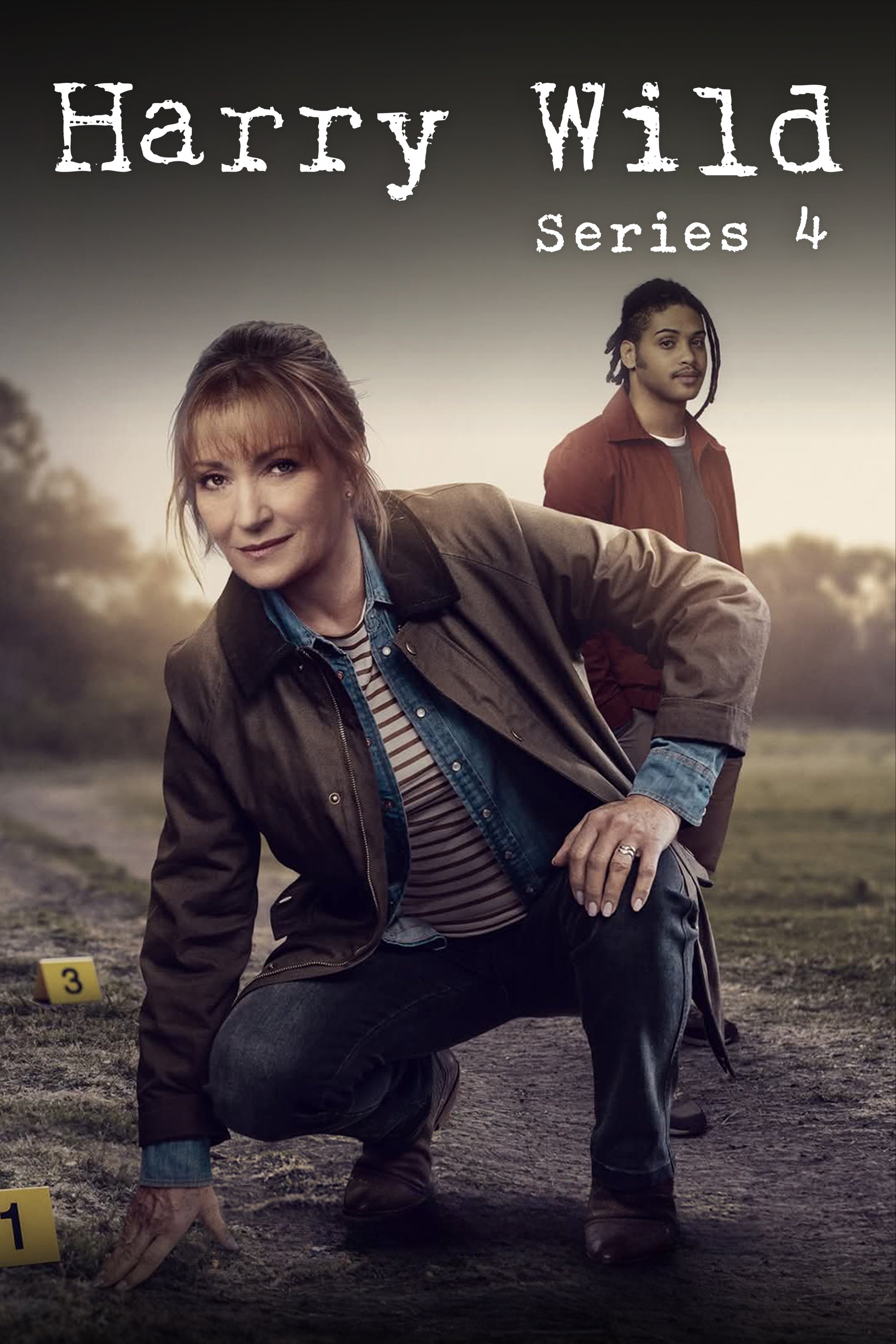 Poster de Temporada 4
