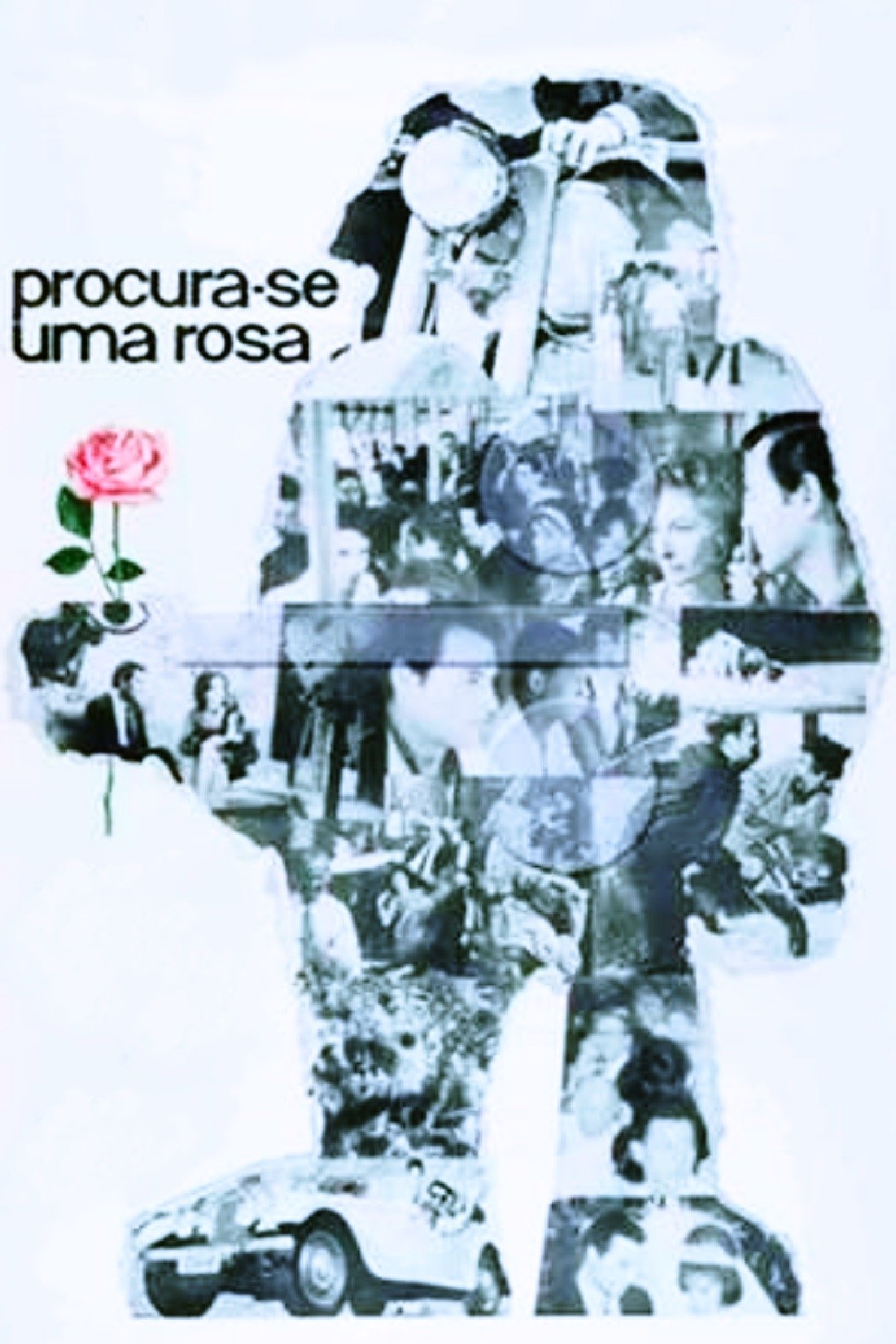 Poster de Procura-se Uma Rosa